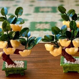 cây đĩnh vàng Ngọc Hoàng Long