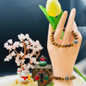 Vòng Trầm Mix DZI 1 Mắt